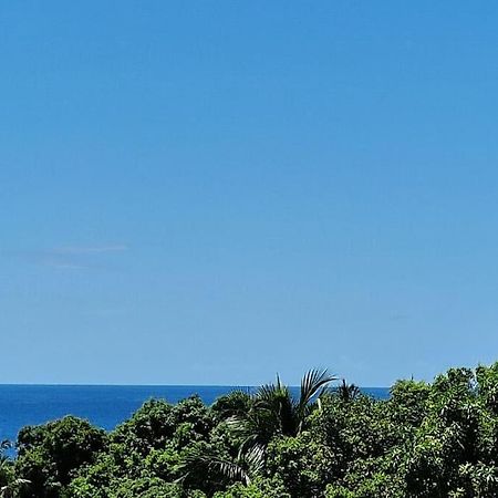Joli T2 En Bas De Villa Vue Jardin Et Mer 비유자비탕 외부 사진